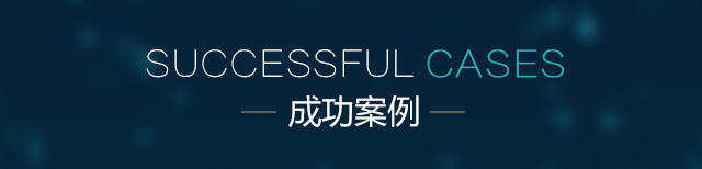 成功案例